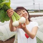 【野菜バイヤー】小堀夏佳の野菜マニアにおススメの野菜を紹介！【プロフェッショナル】